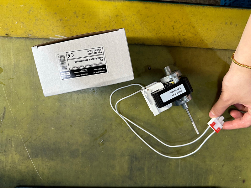 Motor điện lạnh vận chuyển đi Ý
